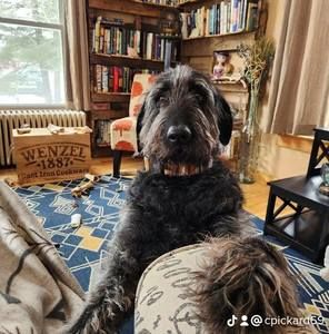 Meet your Posher, Crystal